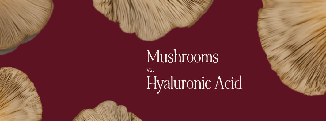 mushrooms vs hyaluronic acid